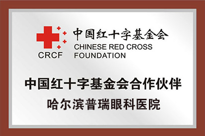 红十字会合作伙伴